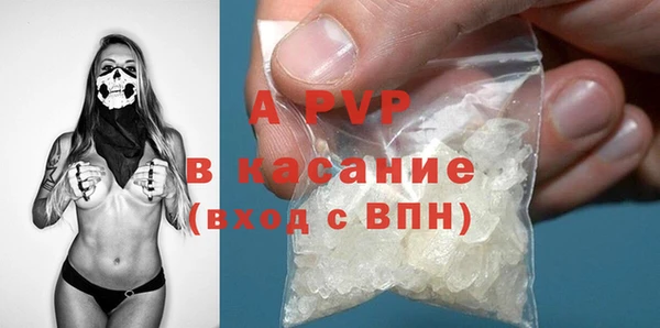 сатива Алзамай