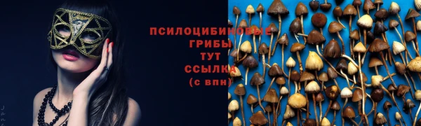 сатива Алзамай