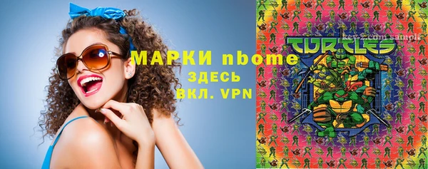 гашик Новодвинск
