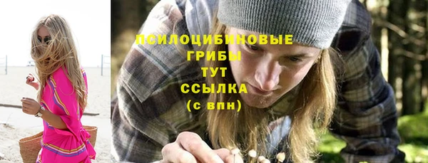 сатива Алзамай