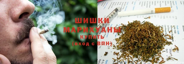 сатива Алзамай