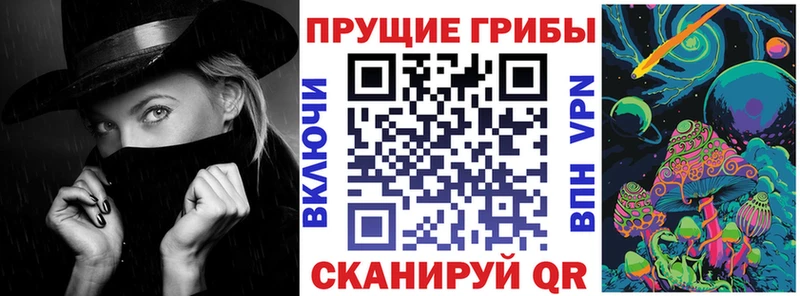 где можно купить   сайты даркнета формула  Галлюциногенные грибы Psilocybine cubensis  Бакал  гидра  